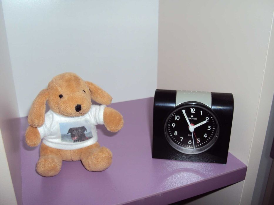 Sony Cyber-shot DSC-W180 10.1MPx