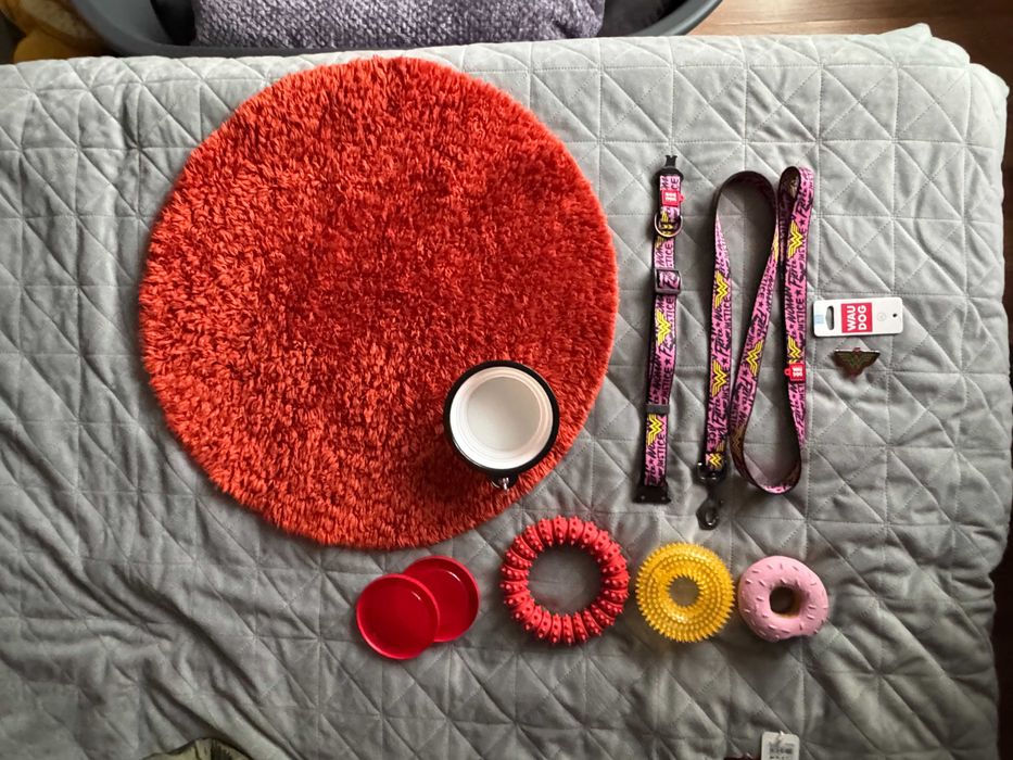 нашийник + повод + играчки за куче