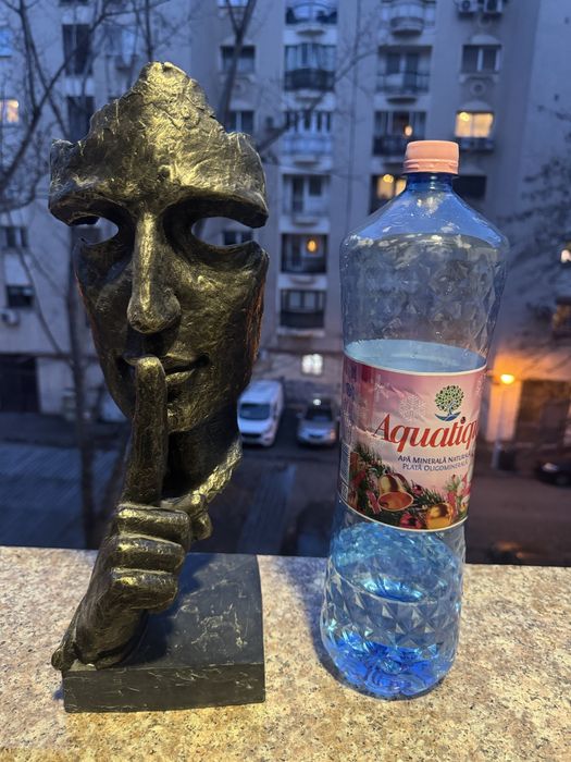 Bust pentru decor interior modern