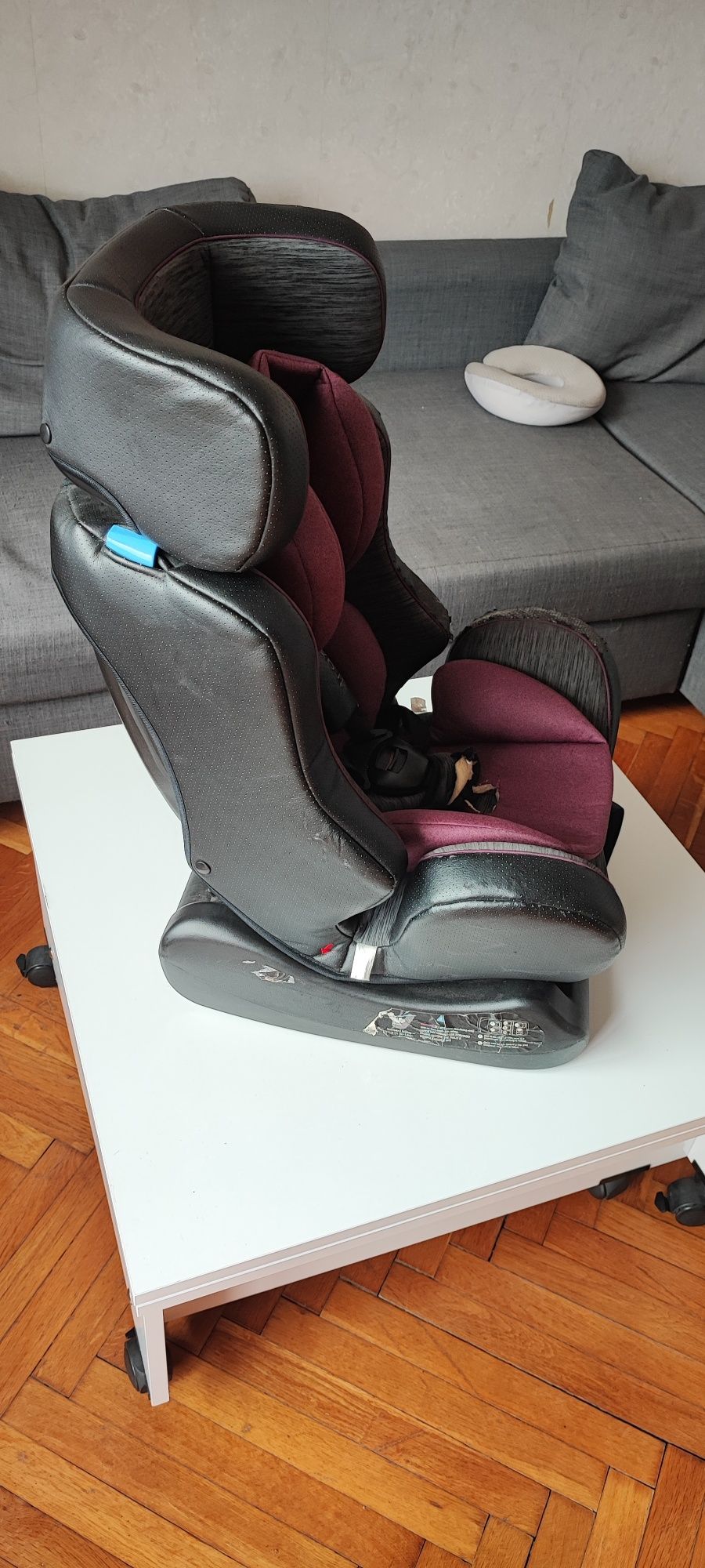 chipolino trax neo