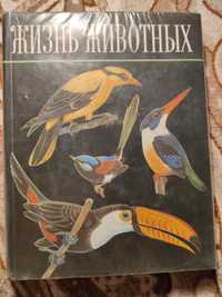 Энциклопедия жизнь животных, птицы