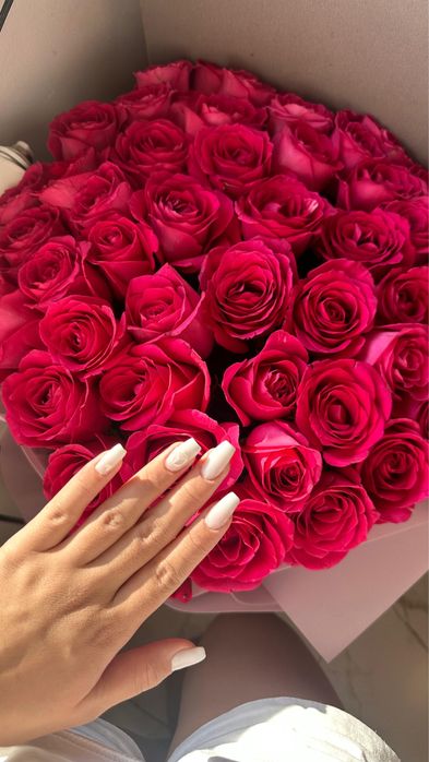 Цветы 51роза свежий