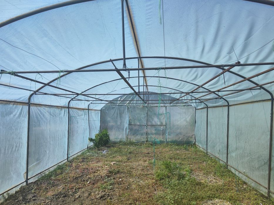 Vând  Solar legume 5x10- 50 mp