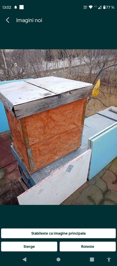 Stupi, lăzi albine, 10+10 rame 3/4, din osb,cu polistiren între pereți