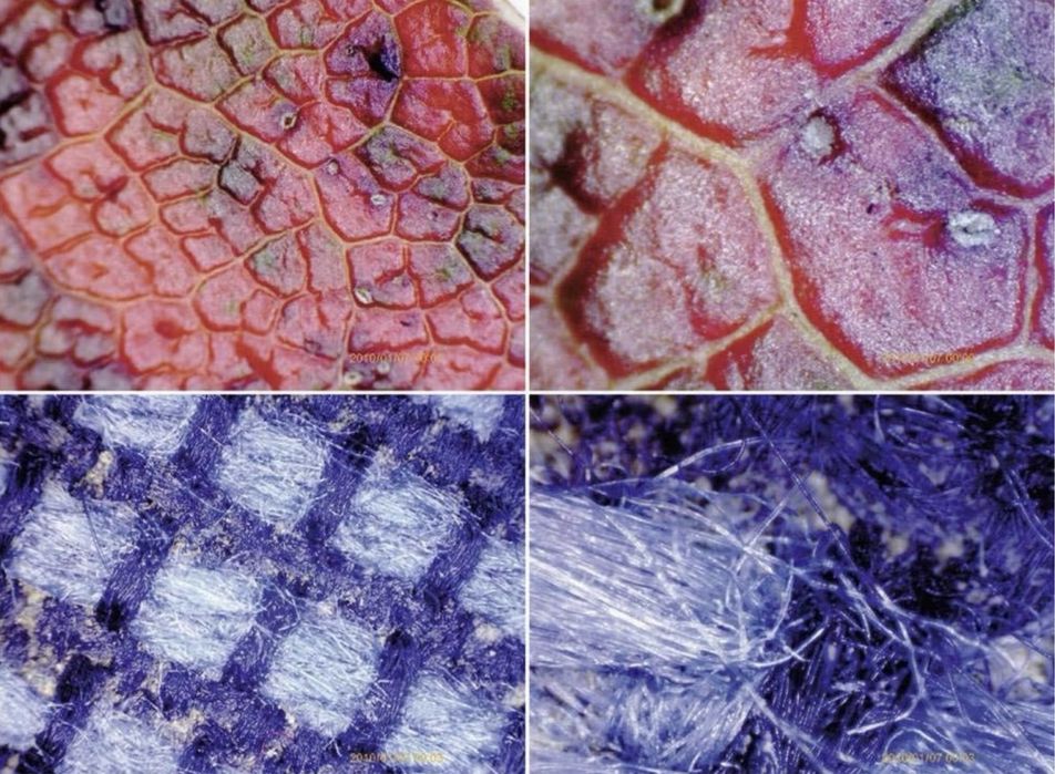 Cameră microscop USB Toolcraft DigiMicro Mobile