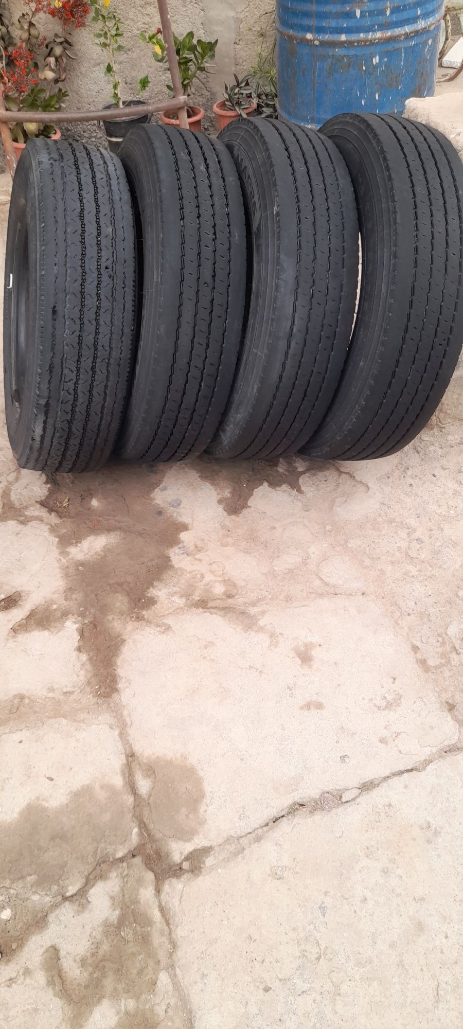 Izuzu 17.5 R zur turibdi