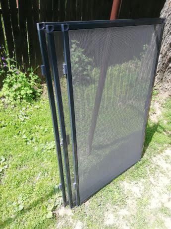 Plase țânțari (insecte)