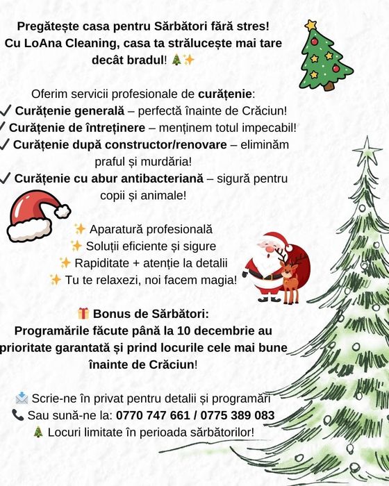 Curatenie cu aparat antibacterian