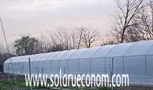 Sere (solarii) pentru cultivarea de legume si/sau flori
