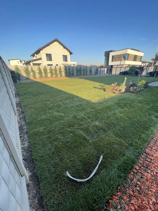 Închiriere Teren Chitila Pentru Activitați