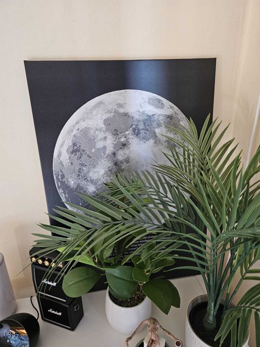Tablou IKEA cu imaginea Lunii, 50x70 cm – nou