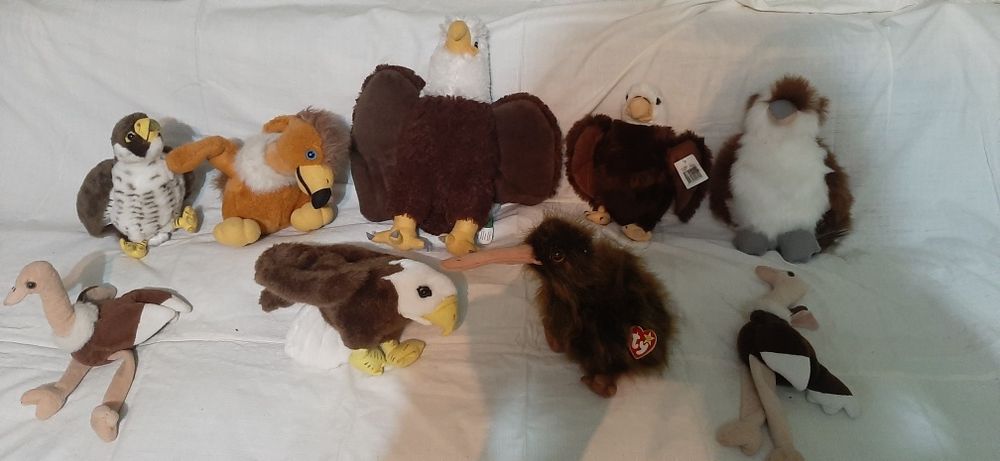 Plusuri : albine,bufnite ,berzi, flamingo, vulturi,rate