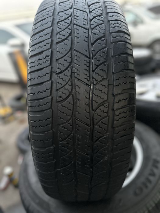 Kaptiva 4 radnoy 18