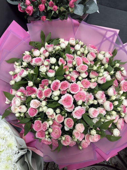 продам цветы свежие