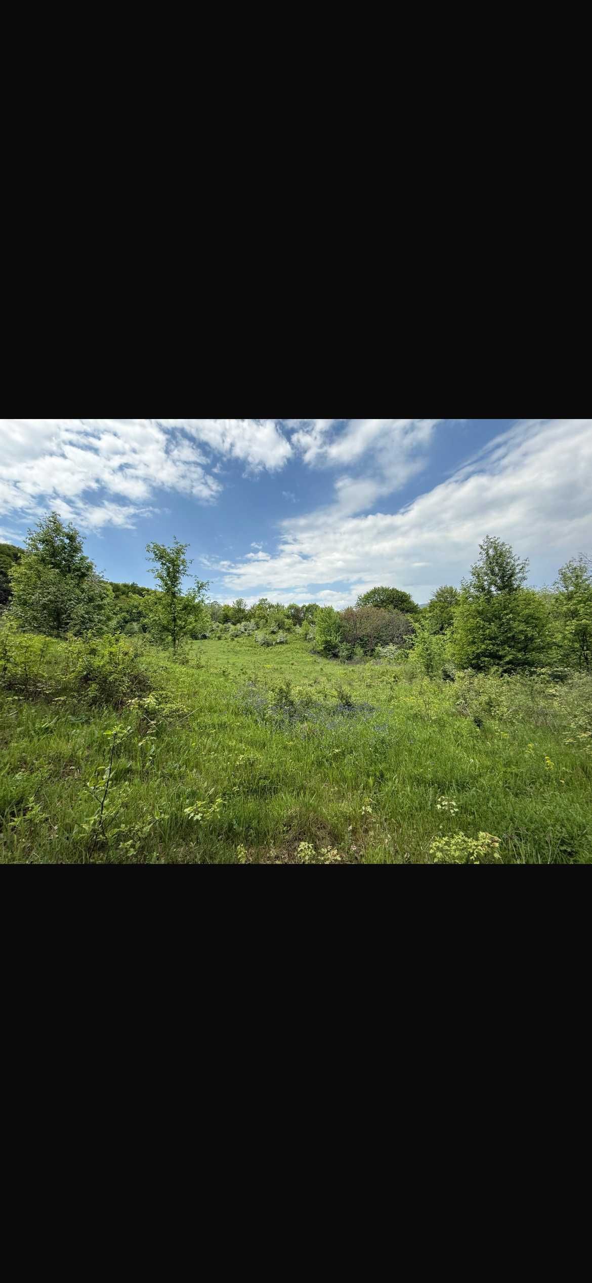 Vand teren extravilan 8329 mp (pasune), comuna Ciuta, Magura, Buzau
