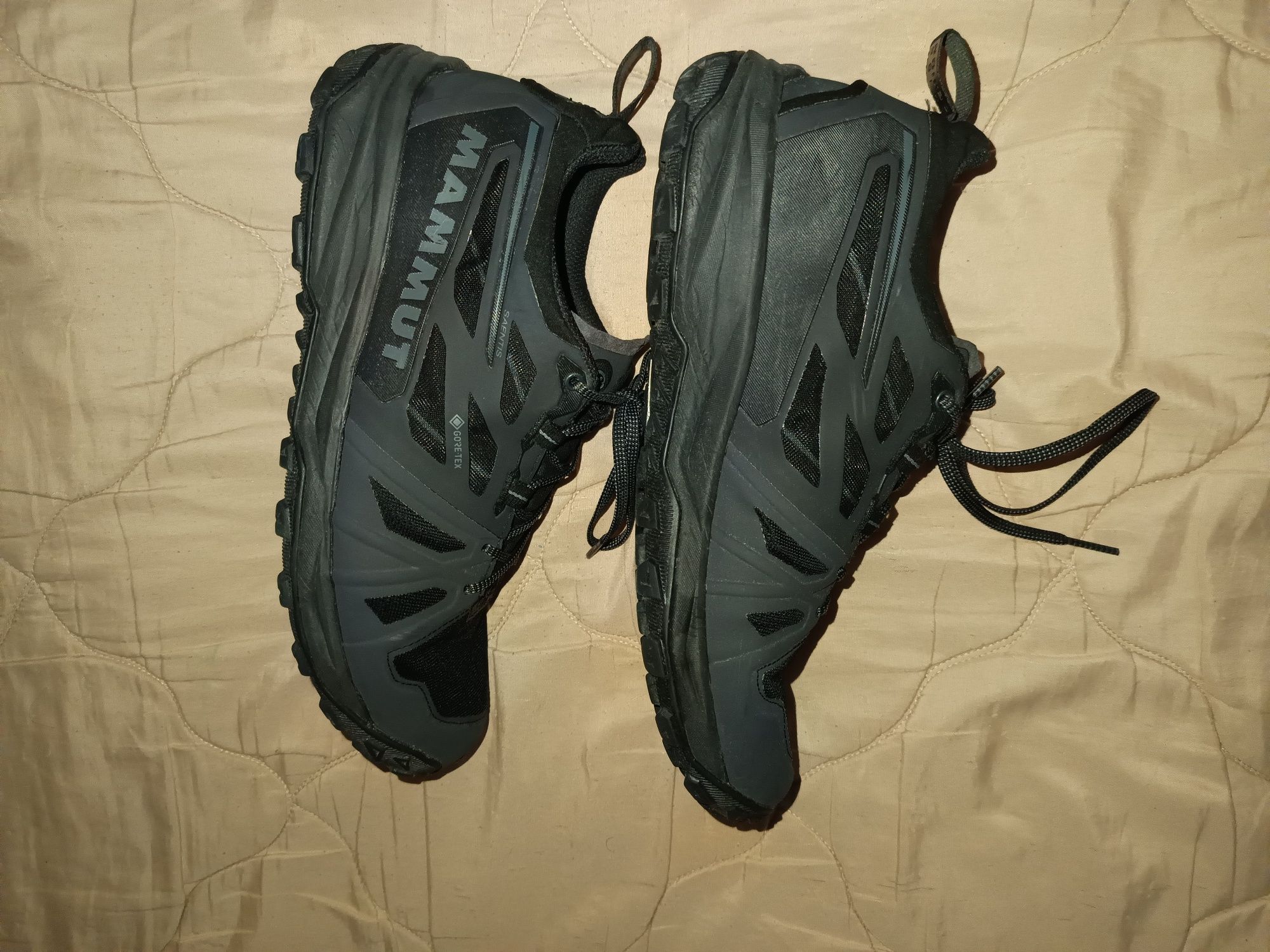 Mammut saentis 42