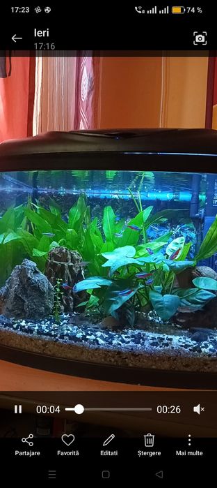 Vând acvariu 60 litri/schimb și alt acvariu