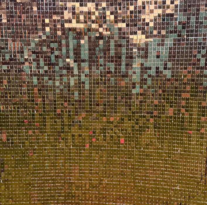 Стена от пайети под наем – фотозона /декорация за събития