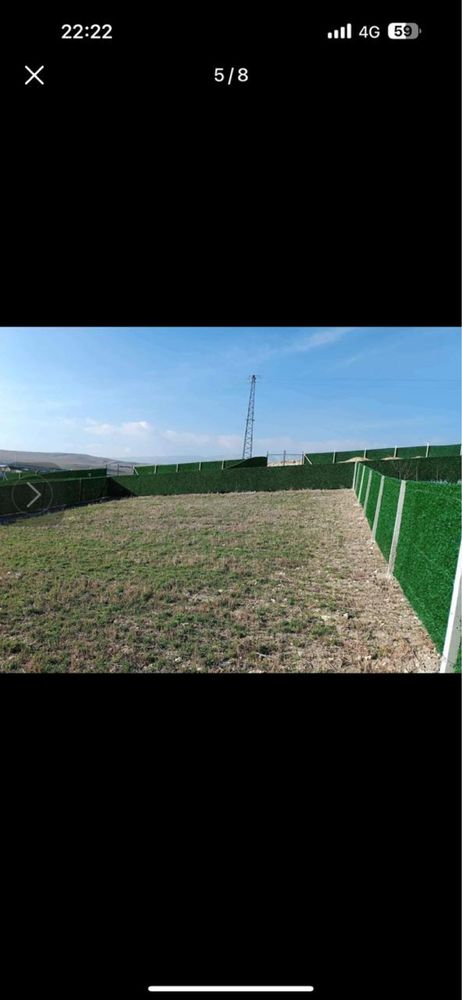Зеленый забор