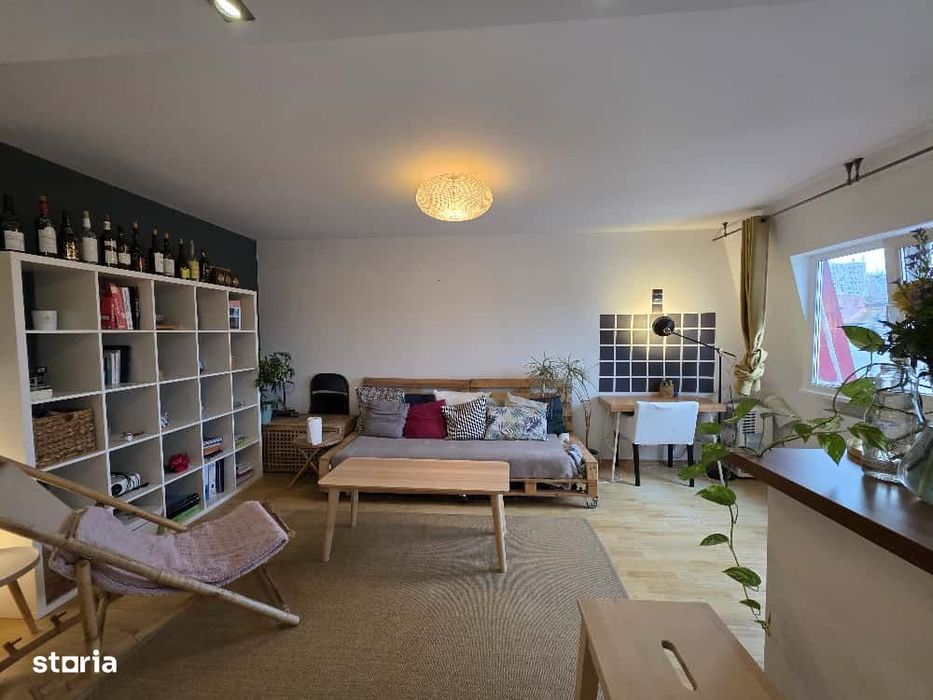 Podul de Fier-Iasicon Towers-2 Camere 54mp