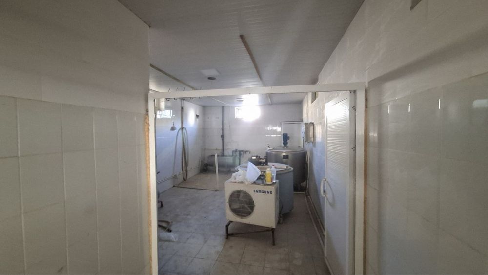 Майскида 7 гектарли ферма сотилади