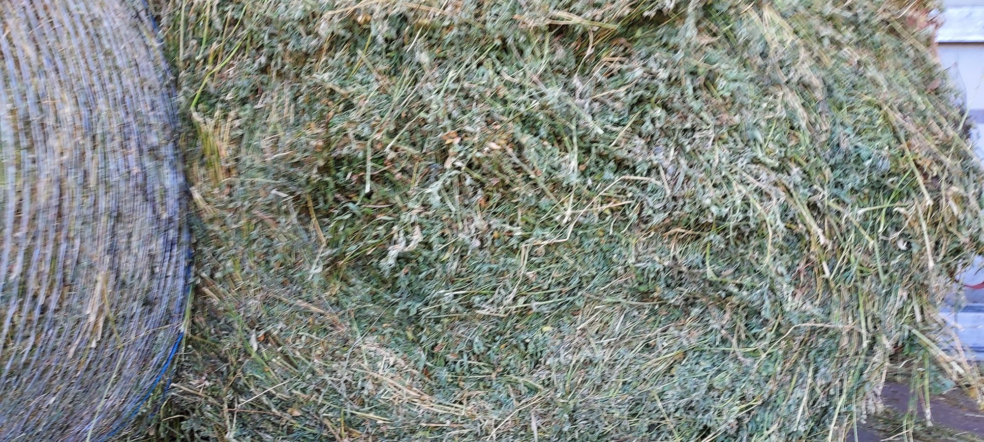 De vânzare! Baloți lucernă rotund,fân rotund, dreptunghiular!