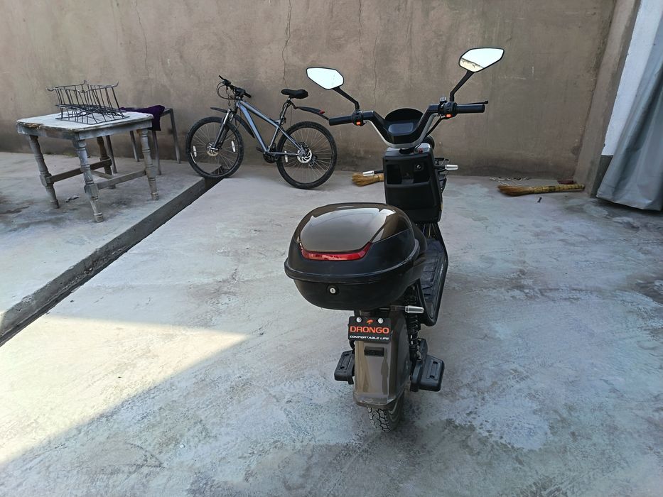 Sukutr sotiladi yangiday