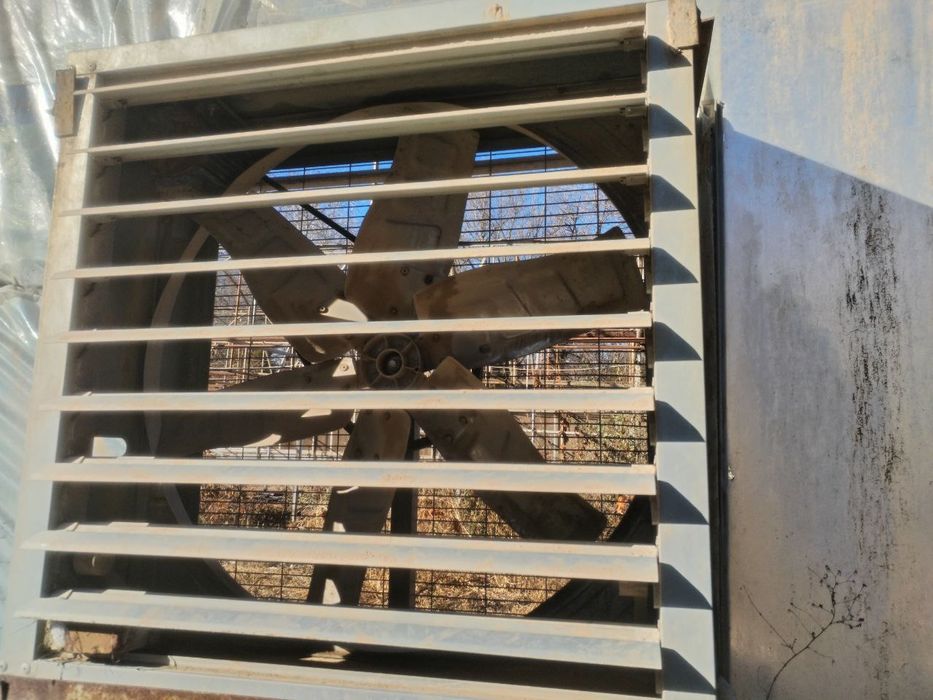 14 Sotix teplitsa sotiladi buzilgan xolatda