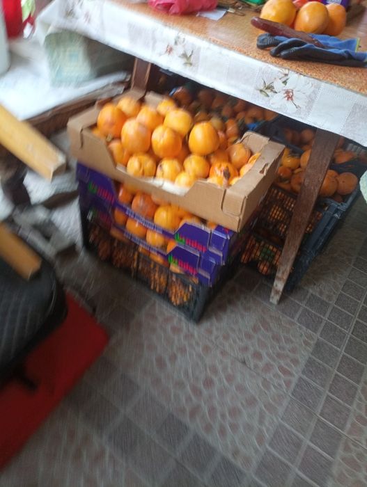 Райска ябълка екологично чиста без никакви пръскания