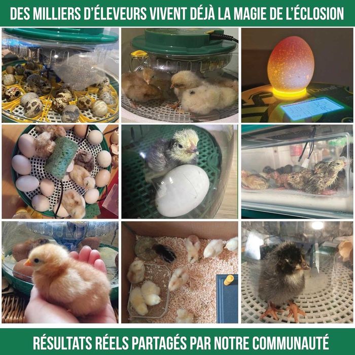 Incubator automat Dural DX5 pentru 18 oua cu control umiditate