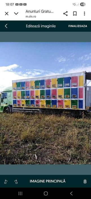 Vand camion apicol