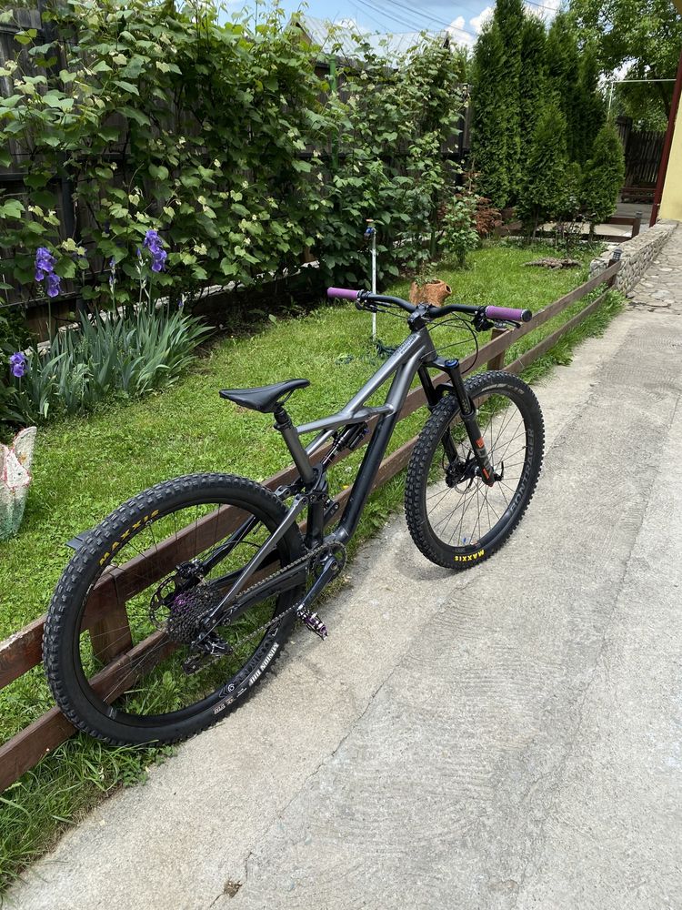 Specialized Enduro Expert CUSTOM