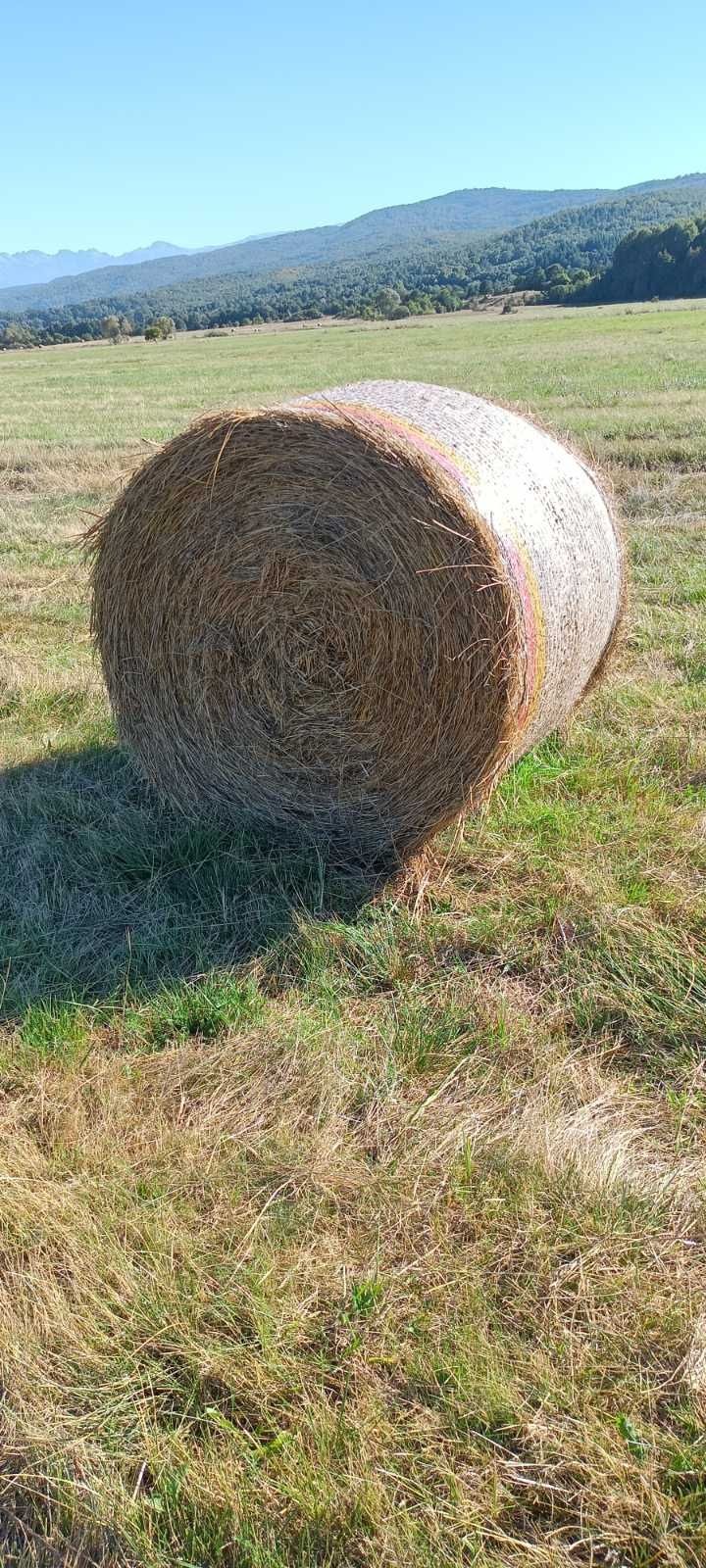 Сено рулонни бали, слама!