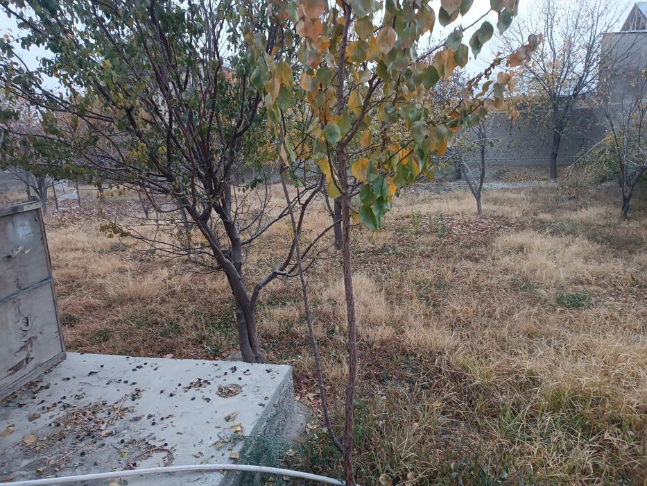 Гараж ижарага берилади