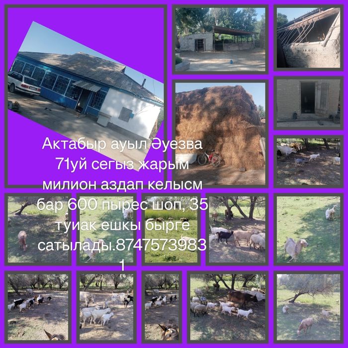 Үй сатылады, продаются дом