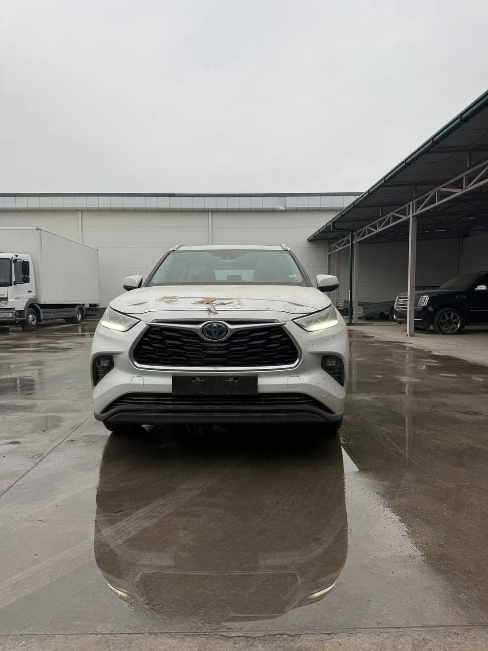 Toyota higlander