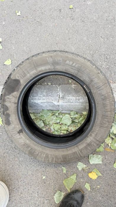 Шины зимние 1 единица