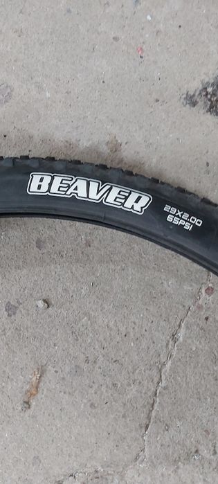 Cauciuc Maxxis beaver