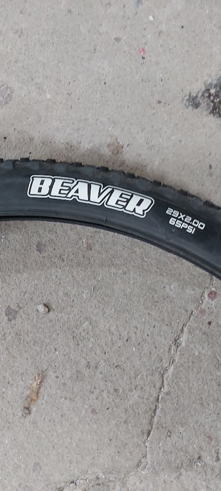 Cauciuc Maxxis beaver