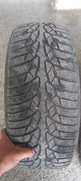 Гуми Нокиан 225/55/17