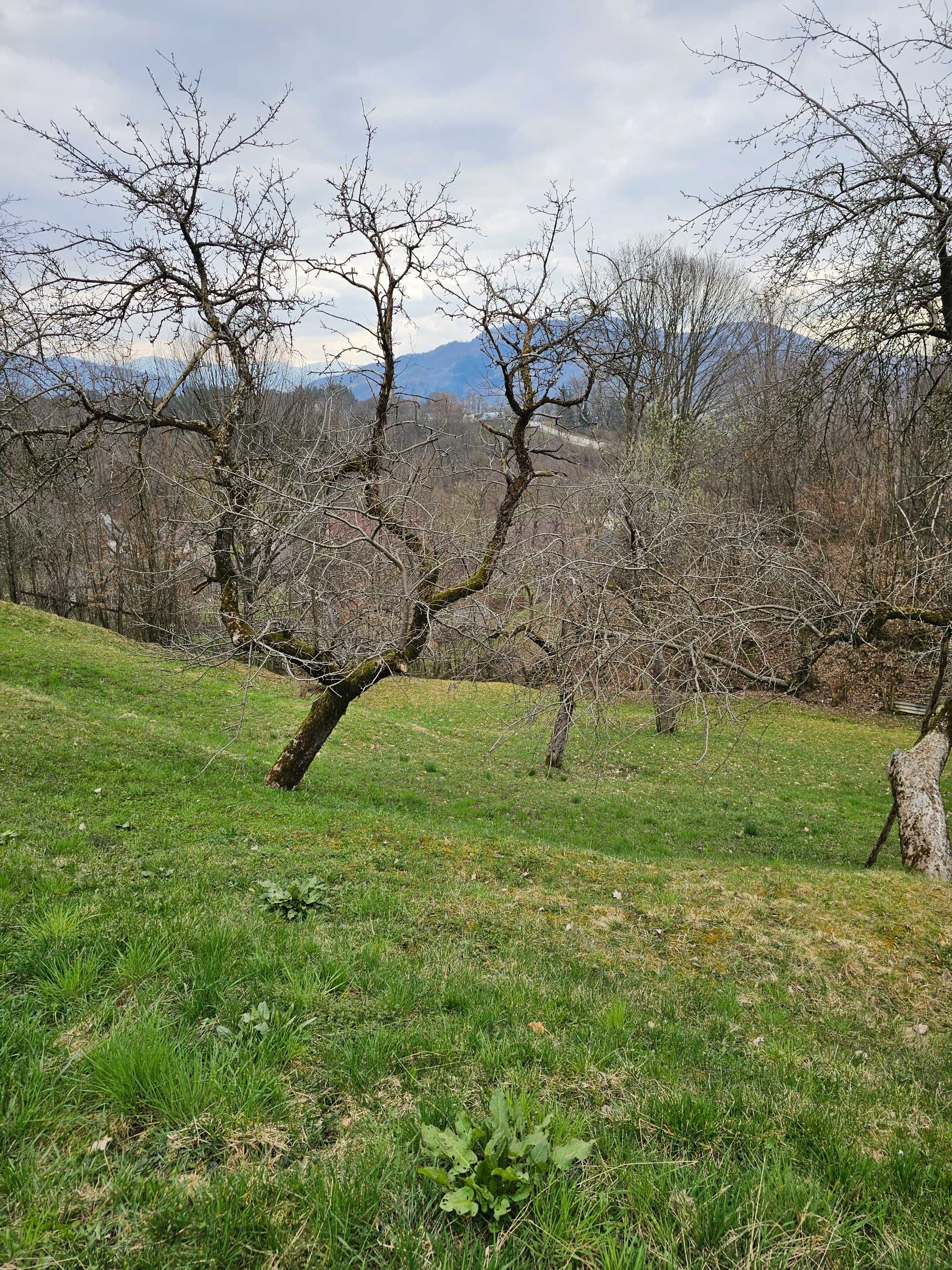 Casa de vanzare Viseu de Sus