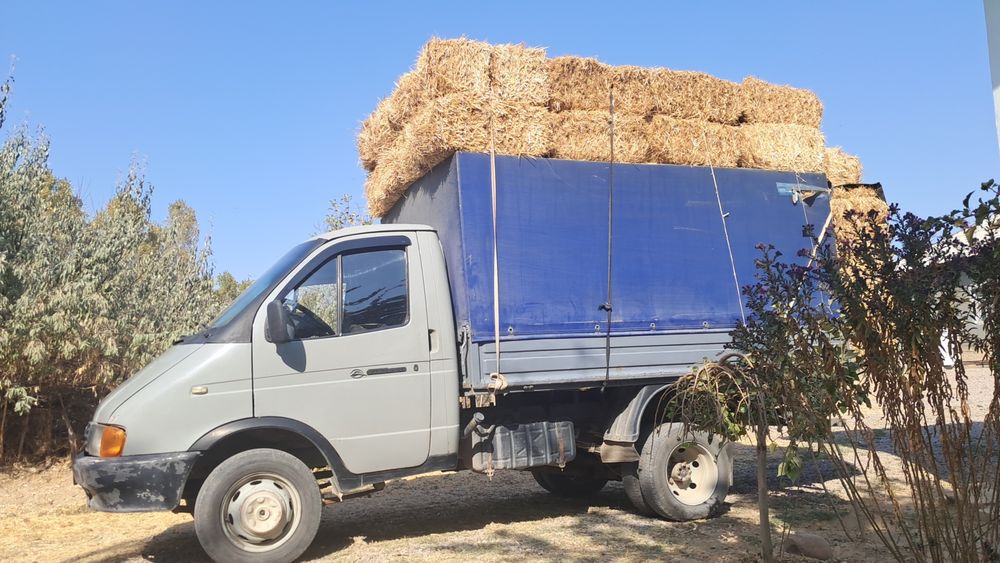 Сомон беда хашак прес бор