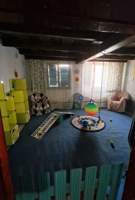 Casă de vânzare, teren 2450 mp Cefa Bihor