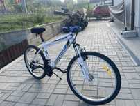 Bicicleta Mountain Bike