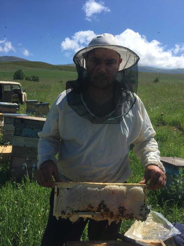 Продам цветочный Алтайский мед (Катон-Карагай, ВКО)