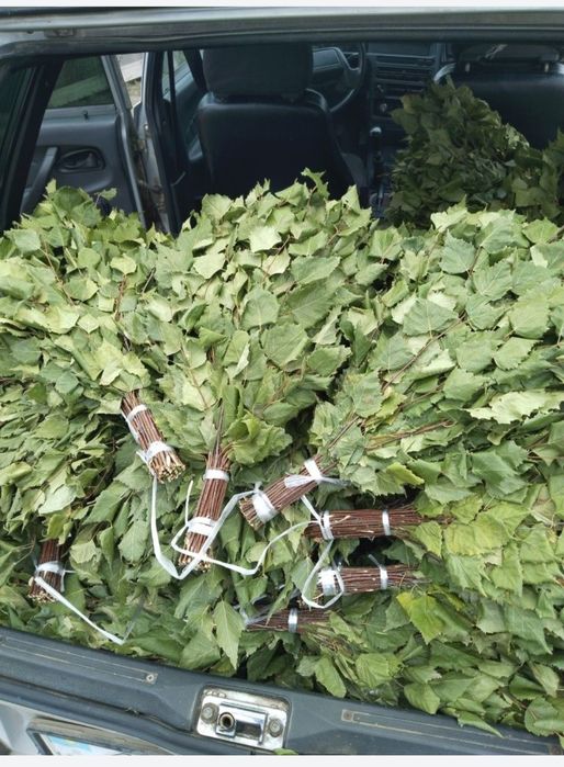 Продам веники березовые