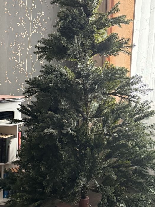 Продам шикарную елку.