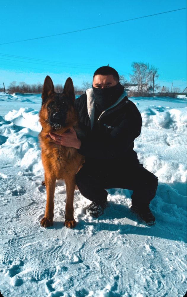 На Вязку соьбка НЕ продаётся