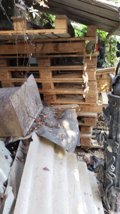 Поддонла сотилади 20 та бор срочна