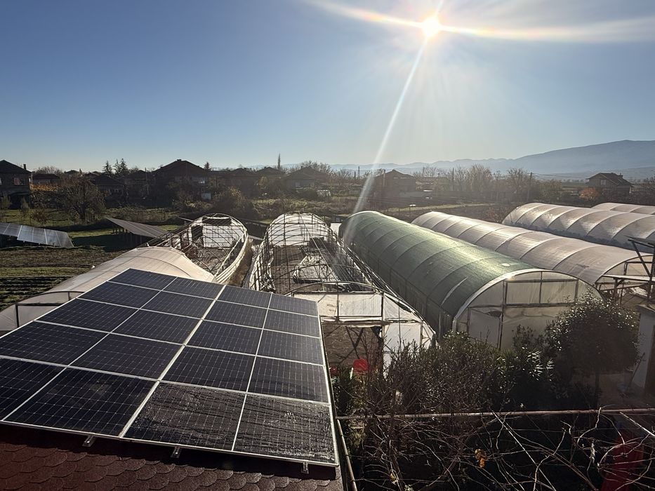 Оранжери. 5 метрови 250 кв